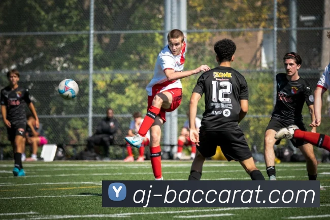 百家乐官网平台生态图