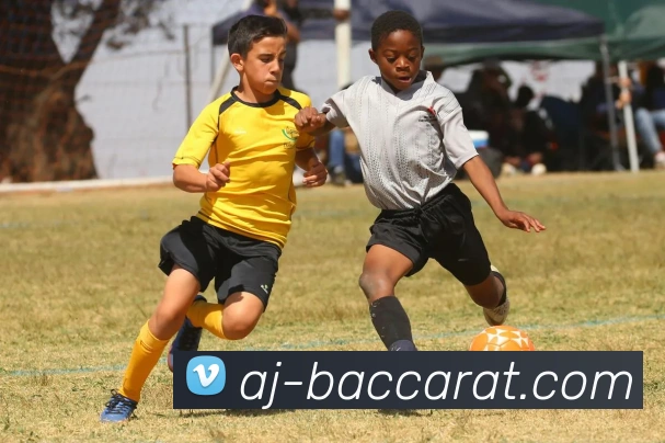 百家乐官网全站App